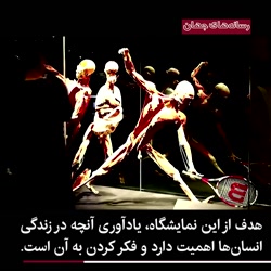 اهدای بدن های انسانی به موزه  «دنیای بدن ها»
