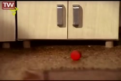 برنامه کودک جدید