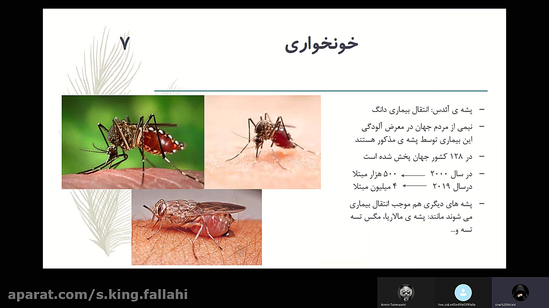 ارائه ی گروه آفت کش پلاسماجت