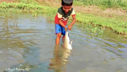 کلیپ خنده دار کلیپ کوتاه ماهی...