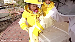 دیانا روما/دیانا شو/دیانا و رو...