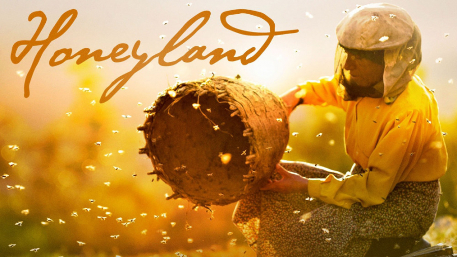 مستند سرزمین عسل زیرنویس فارسی Honeyland 2019 زمان5287ثانیه