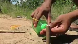 اموزش تله برای کفتر