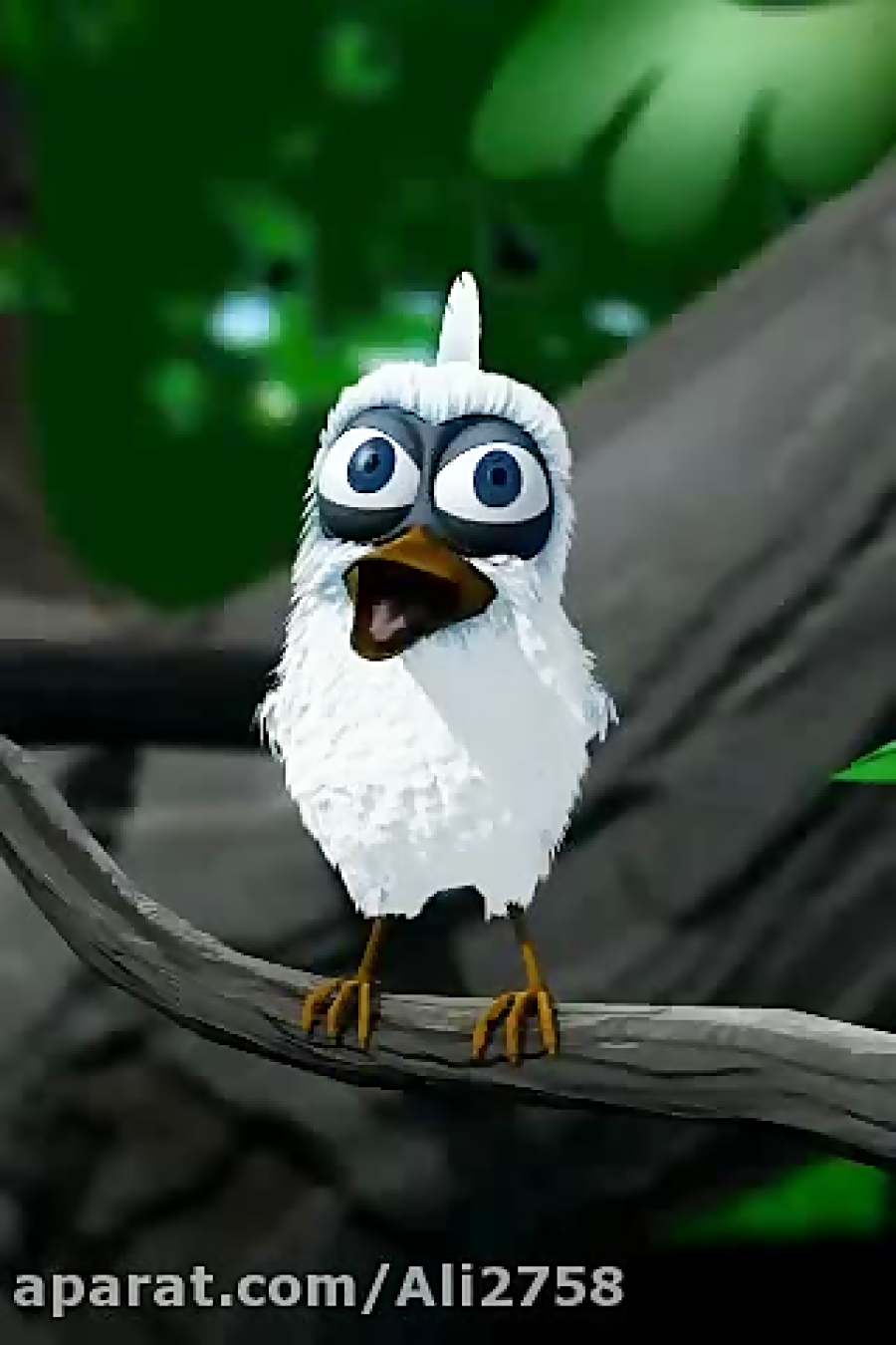 بچه های گروه