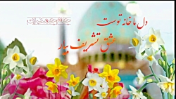 کلیپ کوتاه عاشقانه امام زمان ❤