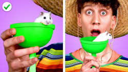 12 راه برای دزدکی حرکت بردن حی...