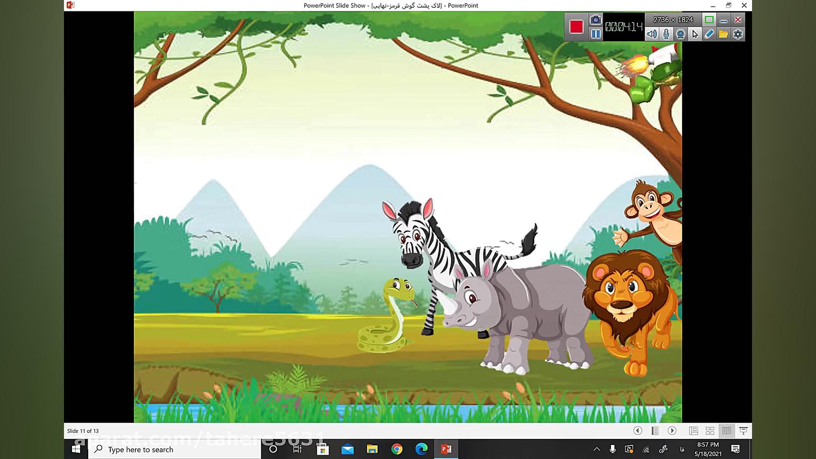 لاک پشت گوش قرمز کاری از پرنیا کریمی زمان271ثانیه