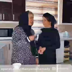 کلیپ پارمیس