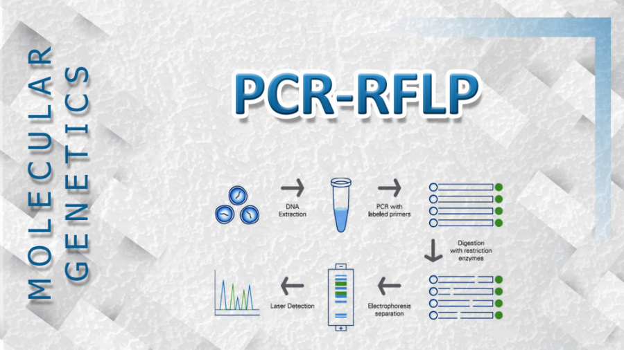 آموزش کامل تکنیک RFLP PCR دندان پیش