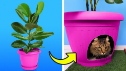 خانه بازی گربه و سایر ایده های...