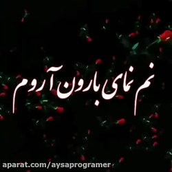 اهنگ شاد عاشقانه شاخه گل من نی...