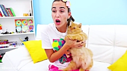 ماجراهای ولاد و نیکی:: ولاد و...