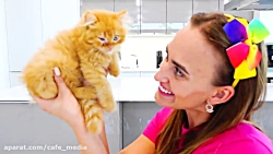 ماجراهای ولاد و نیکیتا / برنام...