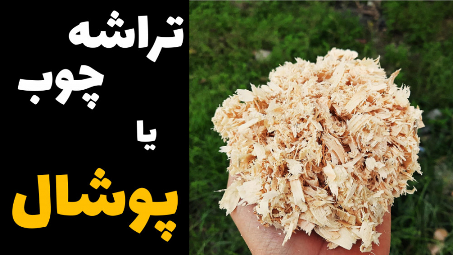 استفاده از تراشه چوب یا پوشال بعنوان بستر در پرورش مرغ گوشتی دکتر محمد مهدی عبدالهی (دامپزشک)