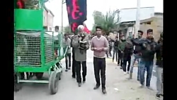 تصاویر دیدنی از پیرواش