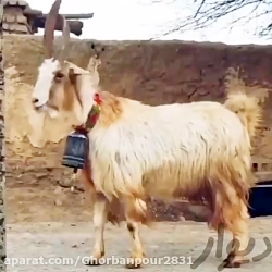 دوبله طنز فرار از زندان