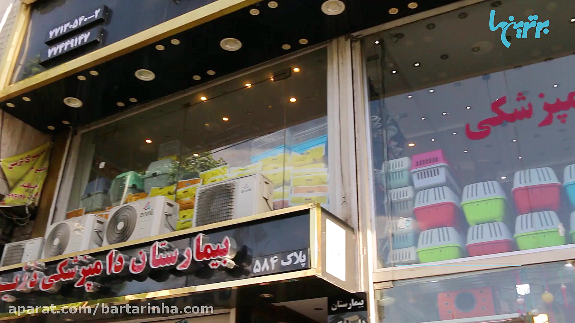 برترین ها - بیمارستان دامپزشکی درین لیفت صورت