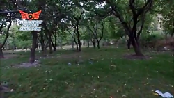 هلی شات نگاه آسمان نیلی تهران