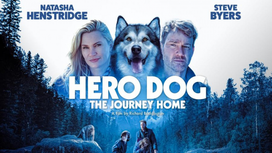 فیلم سگ قهرمان سفر به خانه 2021 Hero Dog: The Journey Home زیرنویس فارسی زمان5349ثانیه