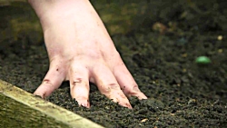 سریال نورز فصل 01 قسمت 01 با ز...