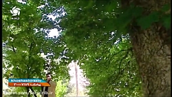 ترانه شاد &quot; زندگی &quot;...