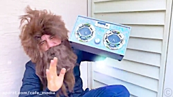 ناستیا و استیسی / ناستیا / ناس...