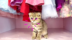 دیانا و روما / دیانا و روما /...