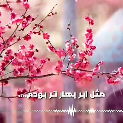 یا مهدی (ع) ادرکنی