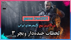 The Witcher 3 Funny Moments
