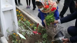 باغچه مشارکتی اهالی منطقه ۸ تهران