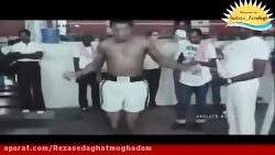کلیپ محمدعلی کلی بوکسور جهان