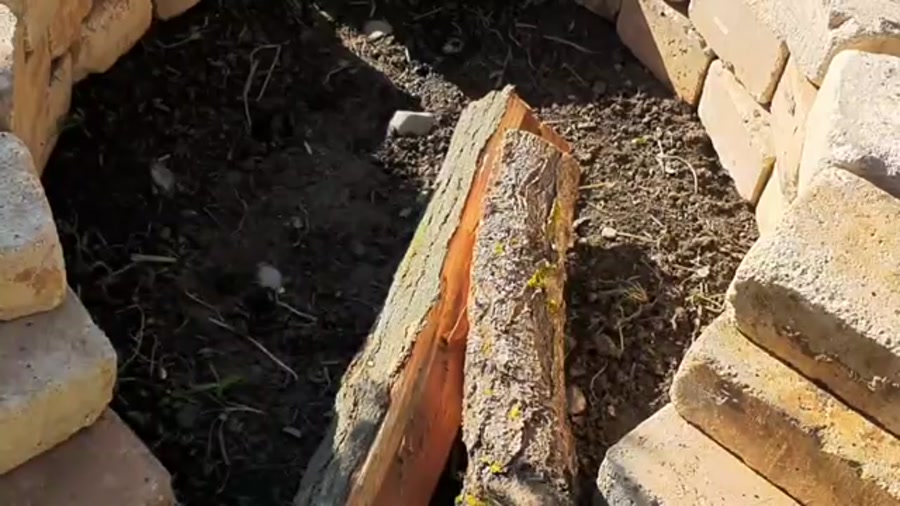 طرز تهیه رولت کلم در خانه