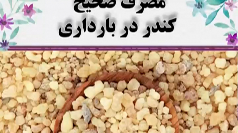 مصرف صحیح کندر در بارداری دکتر فاطمه مرادی متخصص طب ایرانی