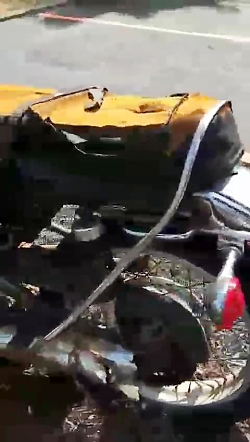 رویش درخت در موتور یاماها