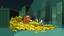 کارتون زیگ و کوسه پوست موز