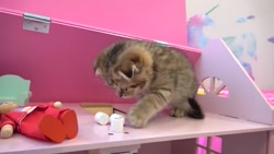 دیانا و روما / دیانا و روما /...