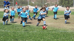 آموزش فوتبال به کودکان|آموزش فوتبال|تکنیک فوتبال( تمرینات گروهی کودکان )