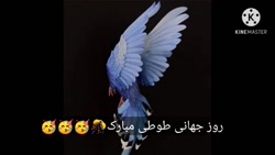 روز جهانی طوطی مبارک