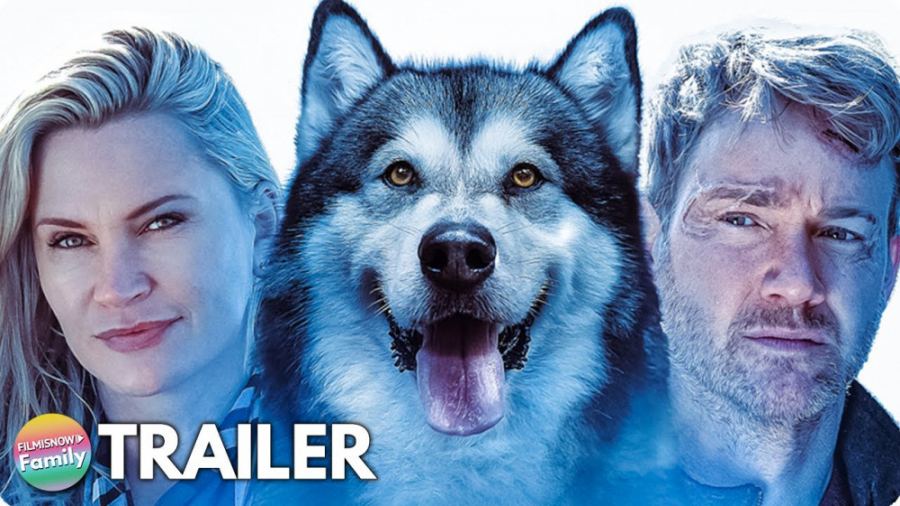 فیلم سگ قهرمان سفر به خانه Hero Dog: The Journey Home با زیرنویس فارسی زمان5349ثانیه