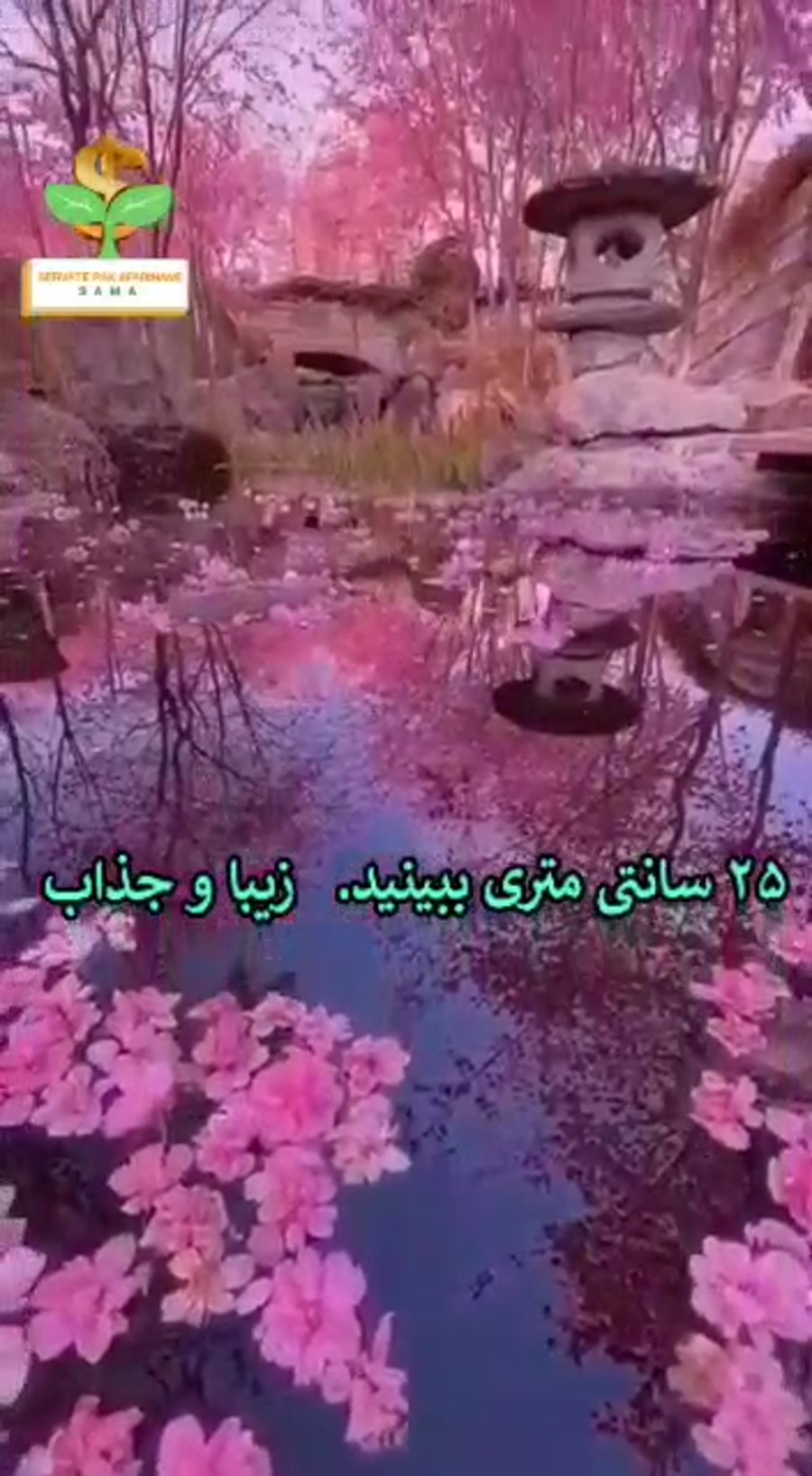 اُ مای گاد چه خوبه