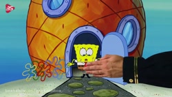 | باب اسفنجی | انیمیشن باب اسف...