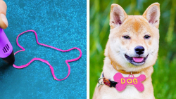 ایده های زیبا و مفید قلم سه بع...