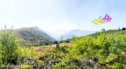 آتش سوزی روستای قەڵاڕەشێ از توابع شهرستان سردشت 11 خرداد 1400