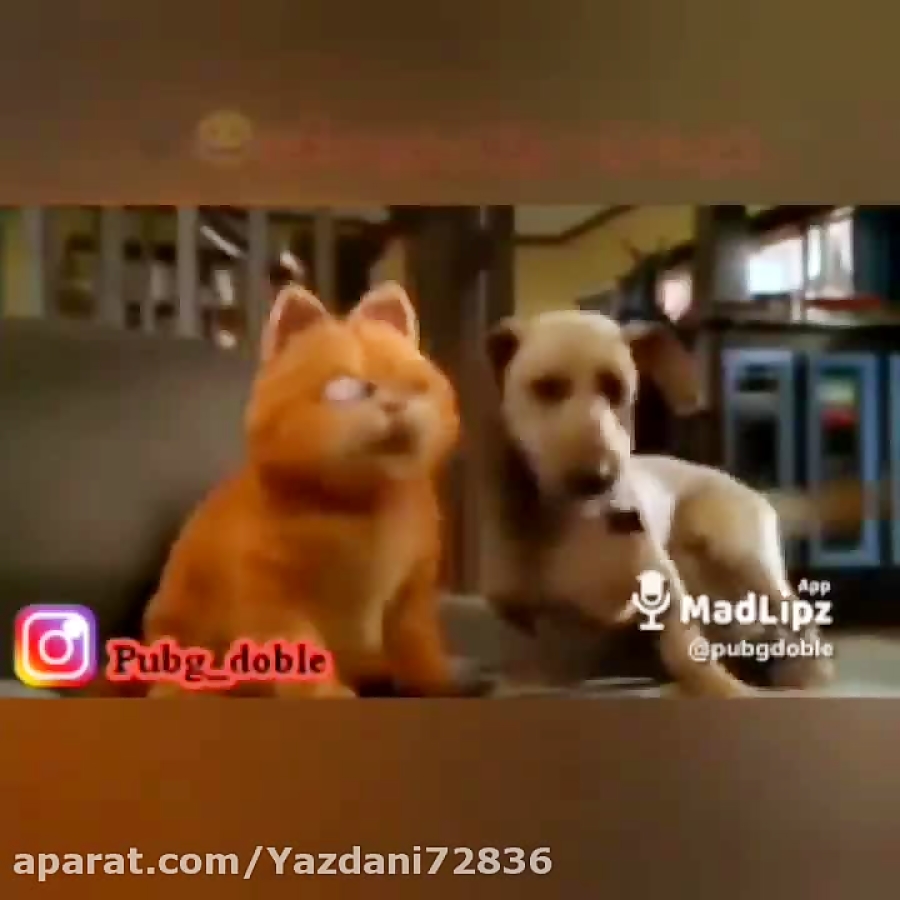 نوب سگ