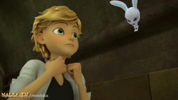 تبدیل خرگوش کت نوار