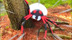 استیسی مرد عنکبوتی میشود - برن...