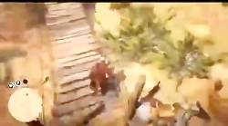 باگ عجیب در ردد2