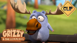 کارتون گریزی و بچه موشها:: عکا...