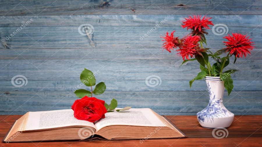 کتابهای فاطمه وحدت نیا