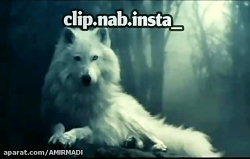 کیلیپ خفن تیکه دار